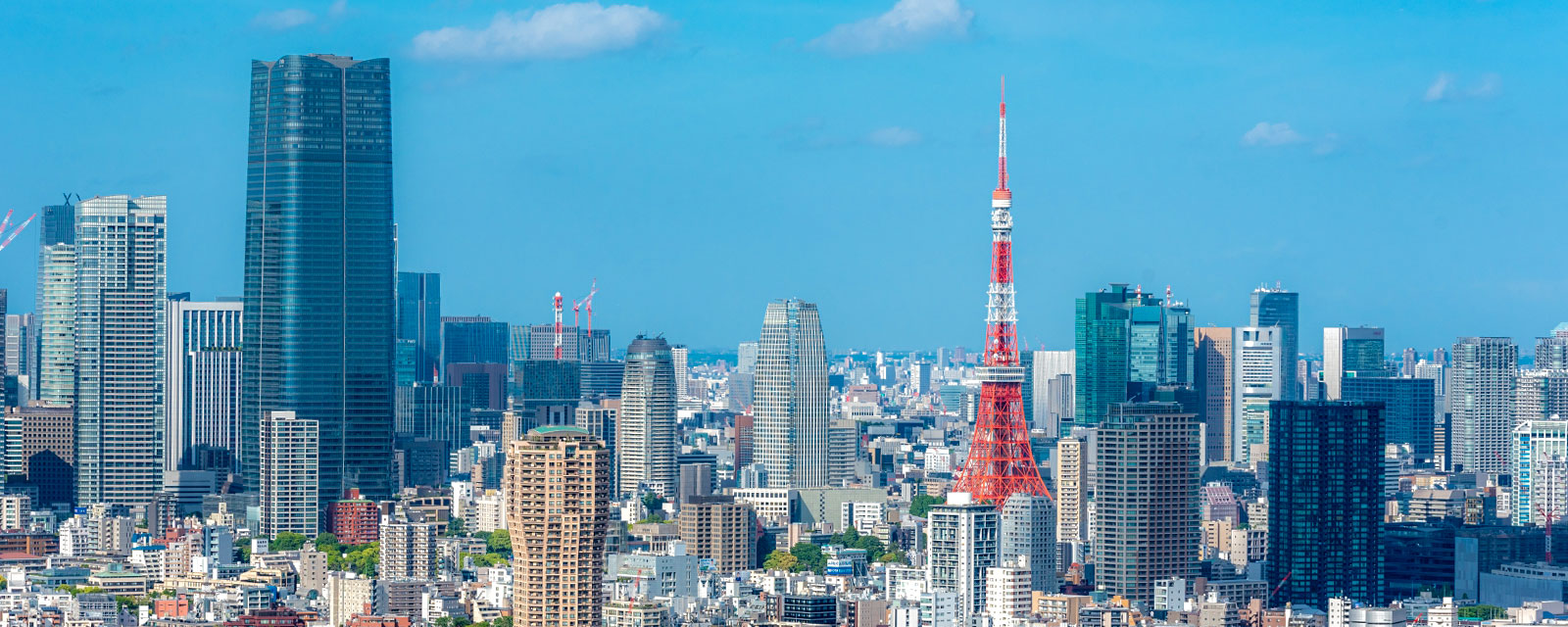 東京タワーとビル群